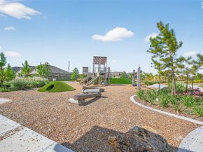 21918 Oia Island Drive, Hockley TX 77447