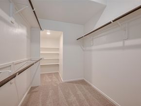 21918 Oia Island Drive, Hockley TX 77447