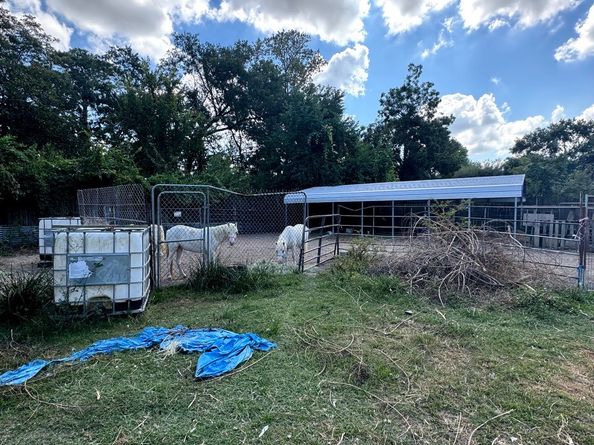 8120 Mayhaw Lane, Houston TX 77044