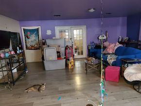 8120 Mayhaw Lane, Houston TX 77044