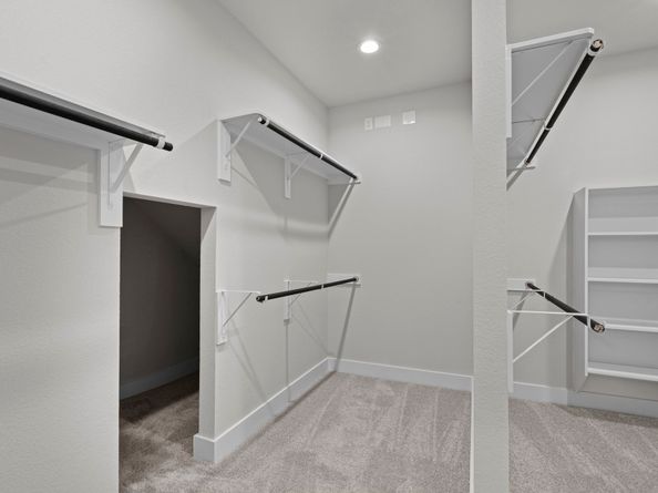 3231 Bushy Hawthorne Drive, Conroe TX 77301