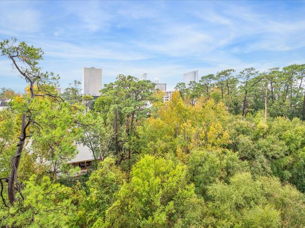 49 Briar Hollow Lane 505, Houston TX 77027