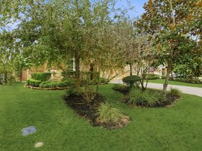7 Camplight Court, The Woodlands TX 77389