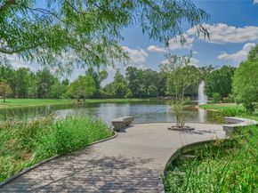 7 Camplight Court, The Woodlands TX 77389