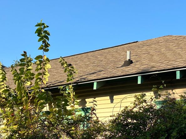 305 Eastwood Street, Houston TX 77011