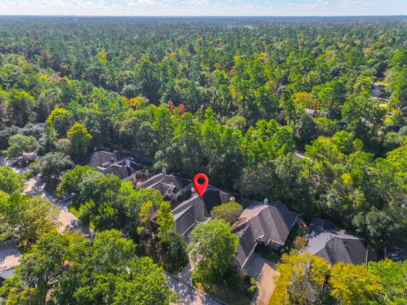 23 E Palmer Bend, The Woodlands TX 77381