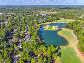 23 E Palmer Bend, The Woodlands TX 77381