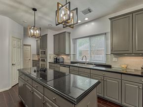 2 Candlenut Place, The Woodlands TX 77381