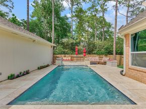 2 Candlenut Place, The Woodlands TX 77381