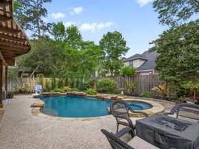 22 Fortuneberry Pl, The Woodlands TX 77382