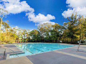 23704 Wood Green Terrace Drive, New Caney TX 77357