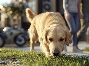 81 Northpoint Drive Building 6 C, Houston TX 77060