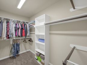 31711 Morning Ridge Lane, Spring TX 77386