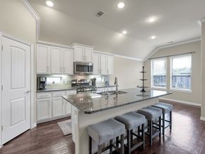 31711 Morning Ridge Lane, Spring TX 77386