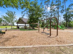 32052 Autumn Orchard Lane, Conroe TX 77385