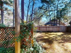 14 Willow Point Place, The Woodlands TX 77382