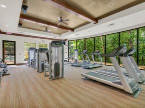 14 Fitzroy Place, Conroe TX 77384