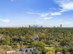 49 Briar Hollow Lane 1704, Houston TX 77027