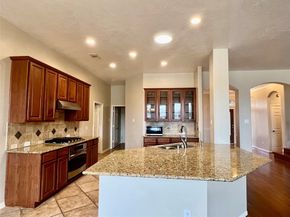 7506 Winston Cove Court, Richmond TX 77407
