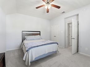 58 Crocus Petal Street, The Woodlands TX 77382