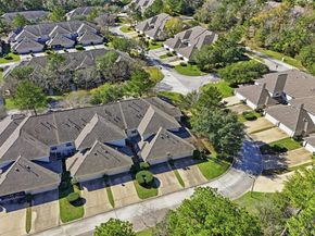 58 Crocus Petal Street, The Woodlands TX 77382