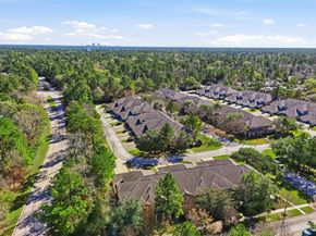 58 Crocus Petal Street, The Woodlands TX 77382