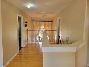 13523 Verbena Lane, Houston TX 77083