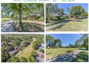 25295 Bull Ridge Drive, Porter TX 77365