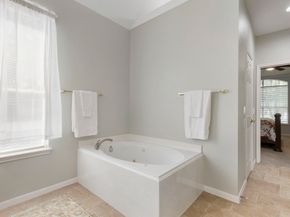 98 W Night Heron Place, Spring TX 77382