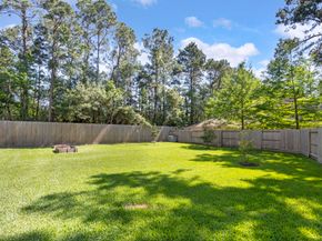 98 W Night Heron Place, Spring TX 77382