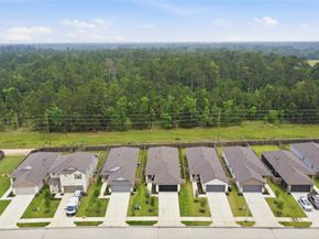 16687 Sterling Cliff Street, Conroe TX 77302