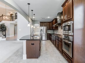 20610 S Blue Hyacinth Drive, Cypress TX 77433