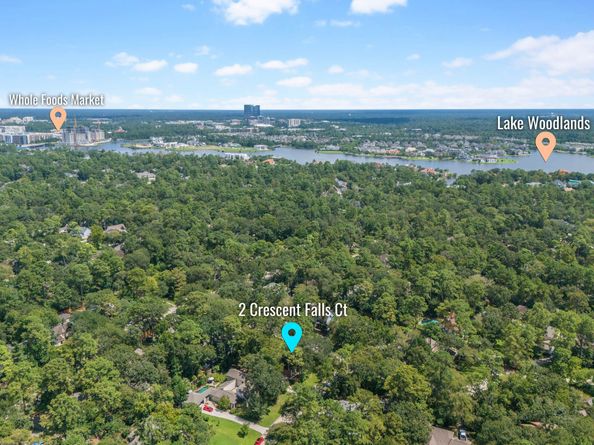 2 Crescent Falls Court, The Woodlands TX 77381