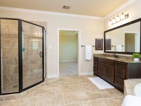 67 Daffodil Meadow Pl, Woodland TX 77375