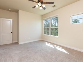 67 Daffodil Meadow Pl, Woodland TX 77375