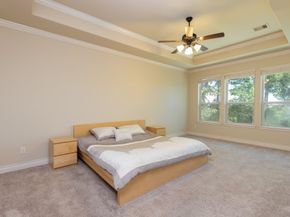 67 Daffodil Meadow Pl, Woodland TX 77375
