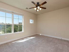 67 Daffodil Meadow Pl, Woodland TX 77375