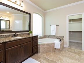 67 Daffodil Meadow Pl, Woodland TX 77375