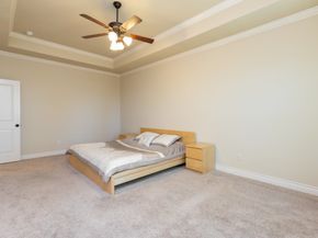 67 Daffodil Meadow Pl, Woodland TX 77375