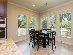 67 Daffodil Meadow Pl, Woodland TX 77375