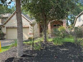 6 Painted Post Place, Spring TX 77389
