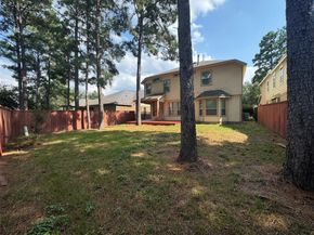 6 Painted Post Place, Spring TX 77389