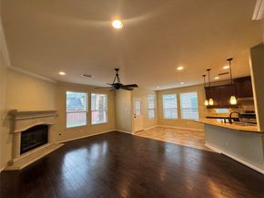 6 Painted Post Place, Spring TX 77389
