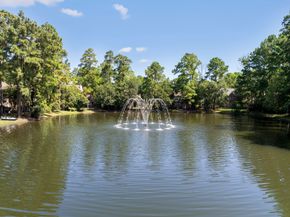 79 N Summer Cloud Drive, The Woodlands TX 77381