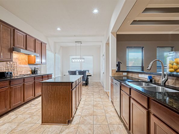 14202 Pearl Shadow Lane, Houston TX 77044