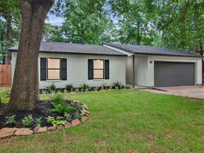 14 Fiddleleaf Court, The Woodlands TX 77381