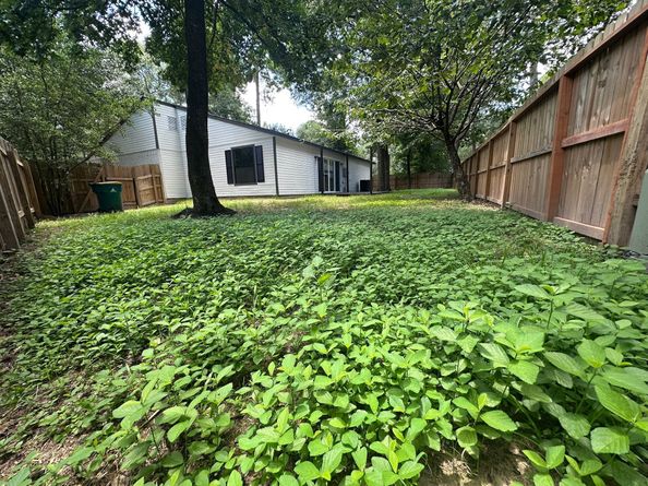 14 Fiddleleaf Court, The Woodlands TX 77381