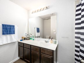 4413 Eveslage Lane, Conroe TX 77304