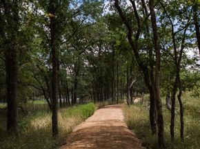 518 Tricia CT, Liberty Hill TX 78642