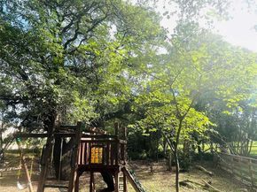 2003 Woodmont Ave, Austin TX 78703